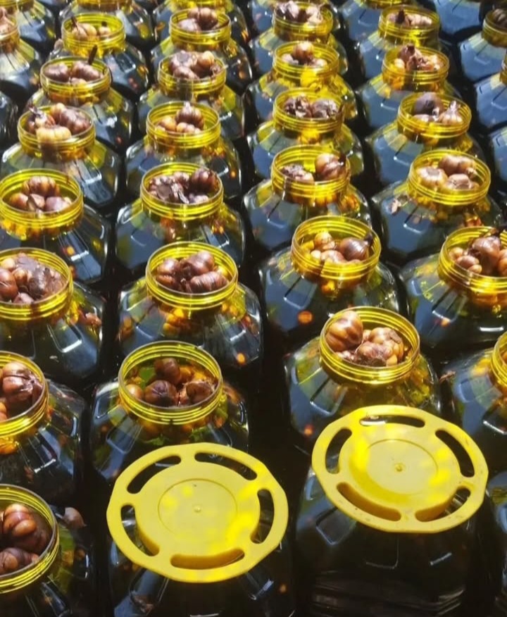 سیر ترشی درجه یک